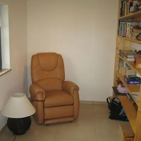 Prázdninový dům Zinnwald Large *