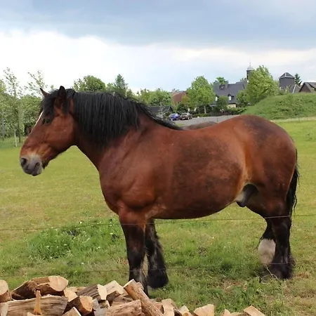 Zinnwald Large Altenberg (Krušné hory)