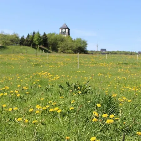 Zinnwald Large Prázdninový dům Altenberg (Krušné hory)
